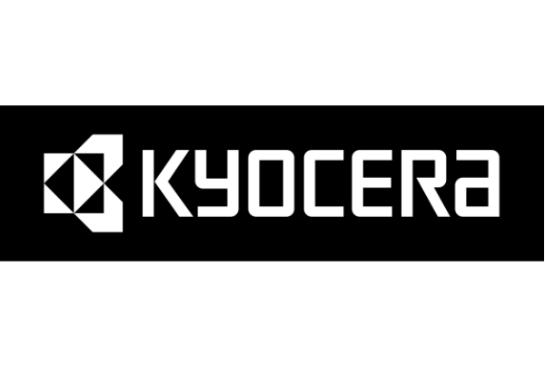 Single-Color Display [ Negative Type ]