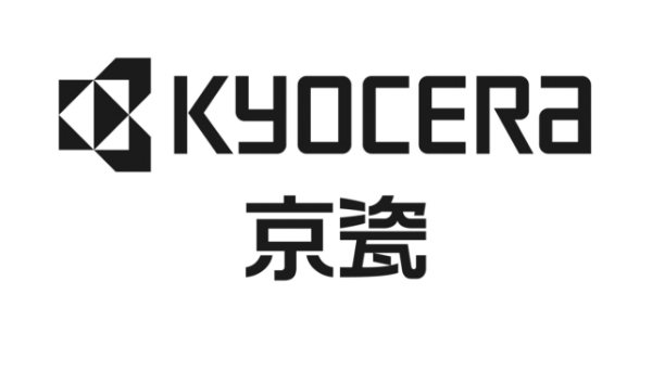 Single-Color Display ( Chinese / Vertical Layout) [ Positive Type ]